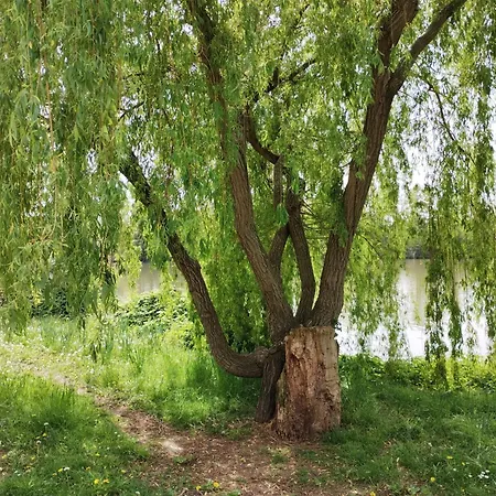 Cocon De 1 Lit 2 Places * رويل-مالميزون