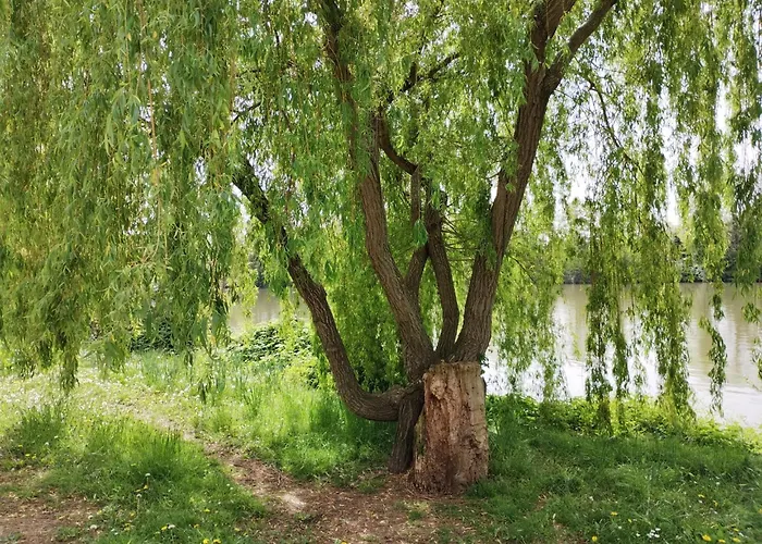 Cocon De 1 Lit 2 Places * رويل-مالميزون